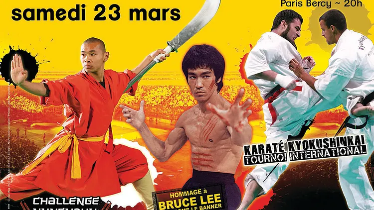 28e Festival des Arts Martiaux