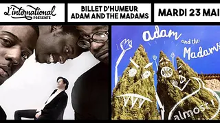 Billet d'Humeur • Adam and The Madams : Live