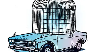 Bluebird