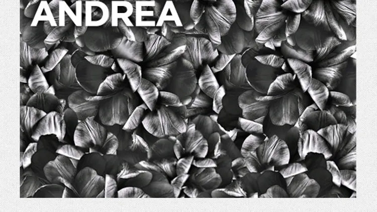 Moose avec Breton Dj set, Tommy Jacob, Julia Losfelt & Andrea