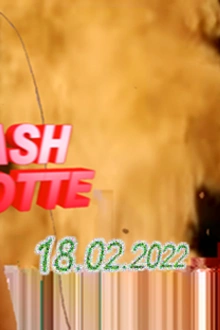 Flash Cocotte
