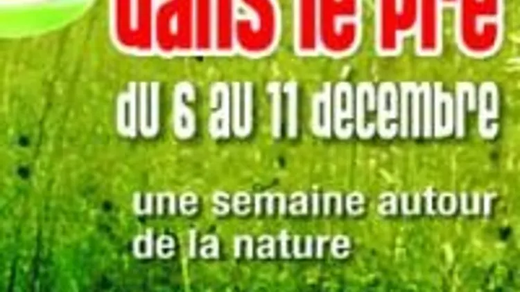 Le Bar Est Dans Le Pré