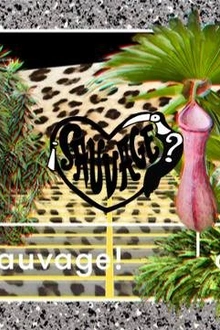 A La Folie Fête ses 3 ans: La Folie Sauvage