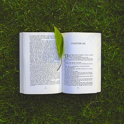 Bibliothèques hors les murs : des livres dans les parcs parisiens