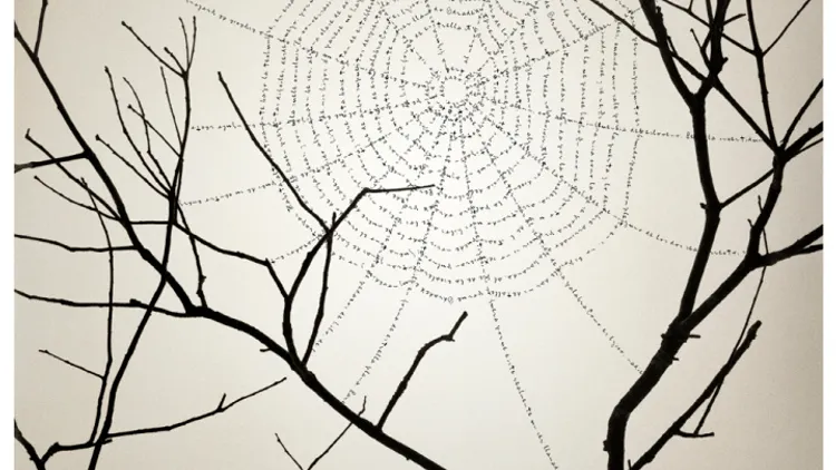 Chema Madoz : oeuvres récentes