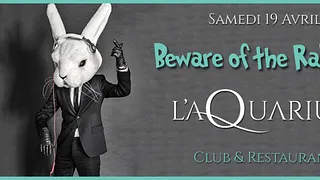 L'aQuarium - Beware of the Rabbit