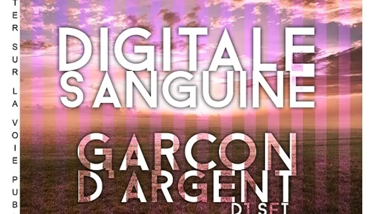 Agorafrog Party#13 avec Parc x Digitale Sanguine x Garçon D'Argent djset
