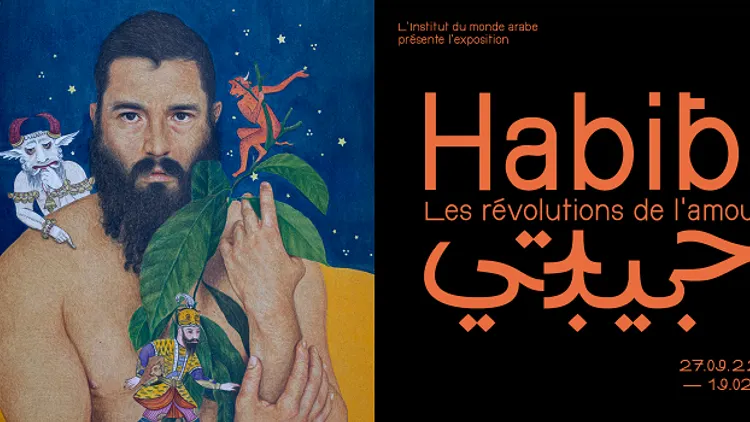 Habibi, les révolutions de l'amour
