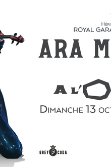 Ara Malikian
