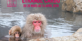Etrange Cargo 2018