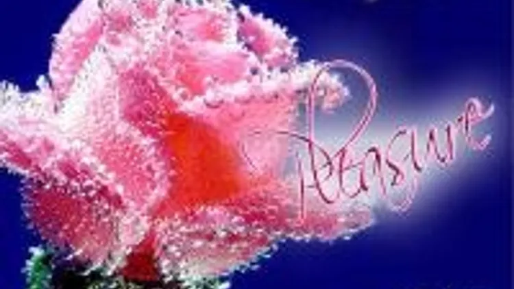 Pleasure