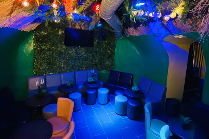 Jungle Zone
