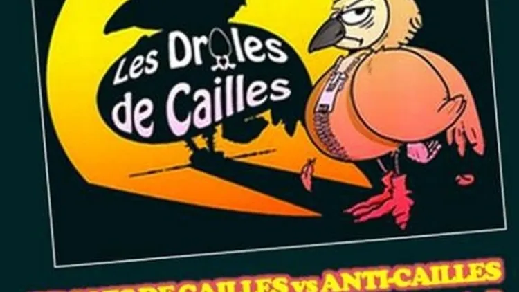 Match d'Impro - Les Drôles de Cailles - 31 Mai 2016