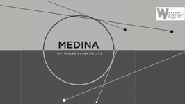 Carlos MEDINA - Particules essentielles