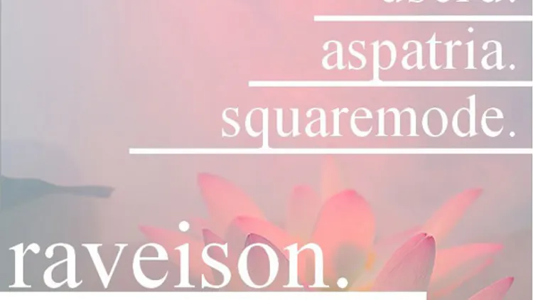 Raveison