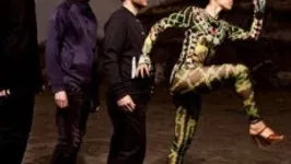 Little Dragon