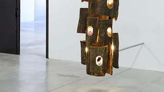 Expo Mathis Collins - Dry French