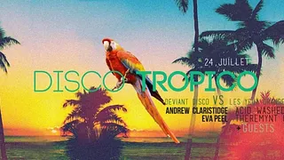 Disco Tropico avec Acid Washed