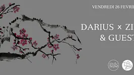 Darius & Zimmer
