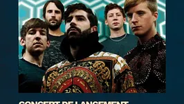 Foals