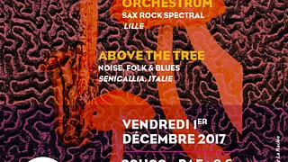 GruGrü + Spectrum Orchestrum + Above The Tree