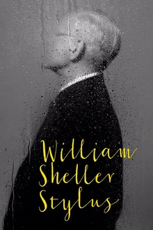 William Sheller en concert