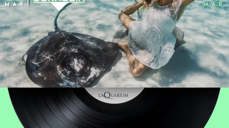 L'Aquarium Restaurant et Club avec Jérémy Donaccia