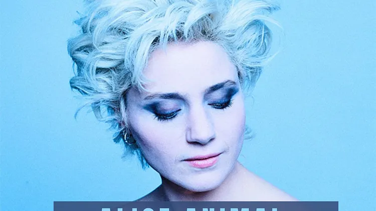 Alice Animal / Tandem Tour