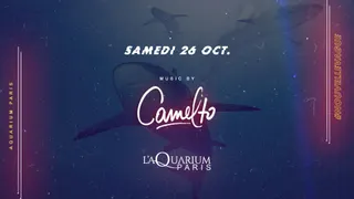 L'Aquarium Club nouvelle vague by Camelto