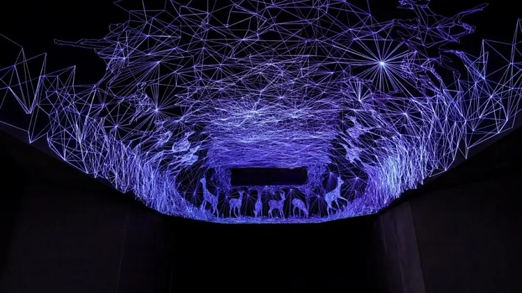 Julien Salaud - Grotte Stellaire