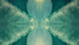 Bonobo