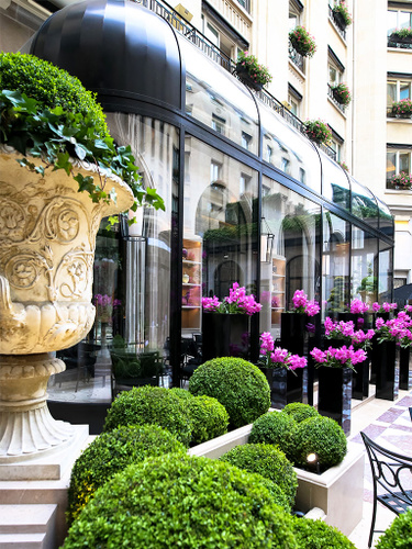 L'Orangerie Restaurant Paris