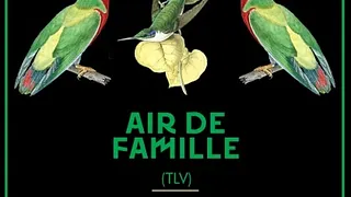 AIR de Famille
