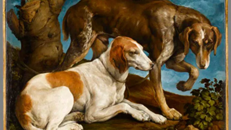 Beauté animale, De Dürer à Jeff Koons