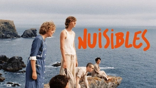 Nuisibles - Juin 2025 - Paris