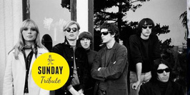 Sunday Tribute // Velvet Underground // Free