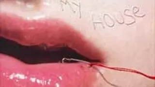 Kiss My House!