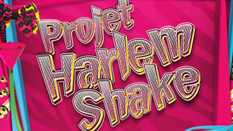 Projet Harlem Shake