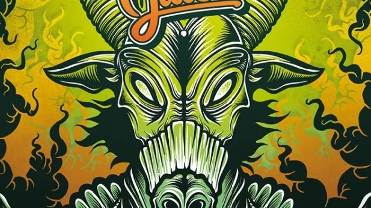 JUNGLE JUICE LIMITED 12