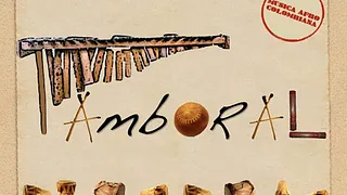 TAMBORAL
