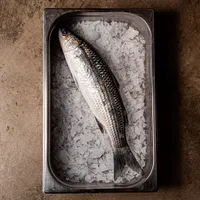 Iodé Sushi