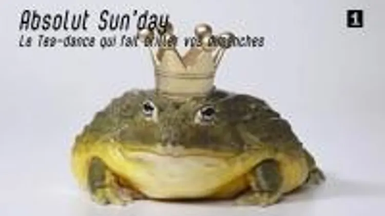 Absolut Sun Day