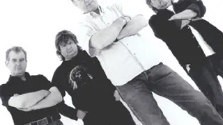 The Animals