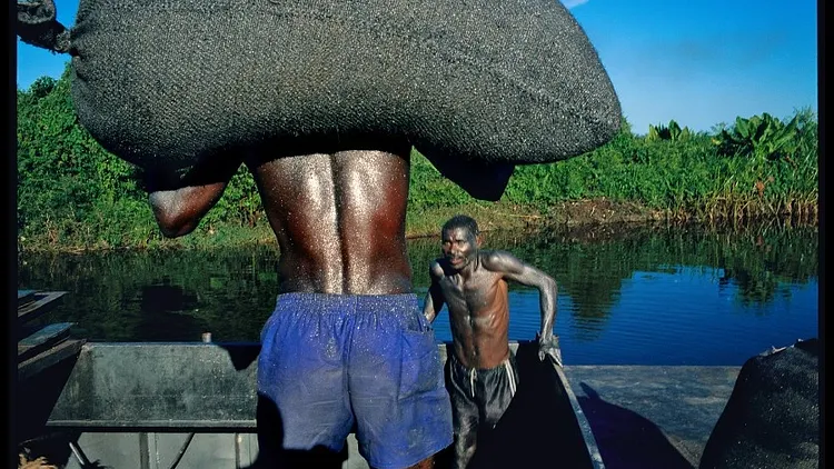 Pascal Maitre - Afriques