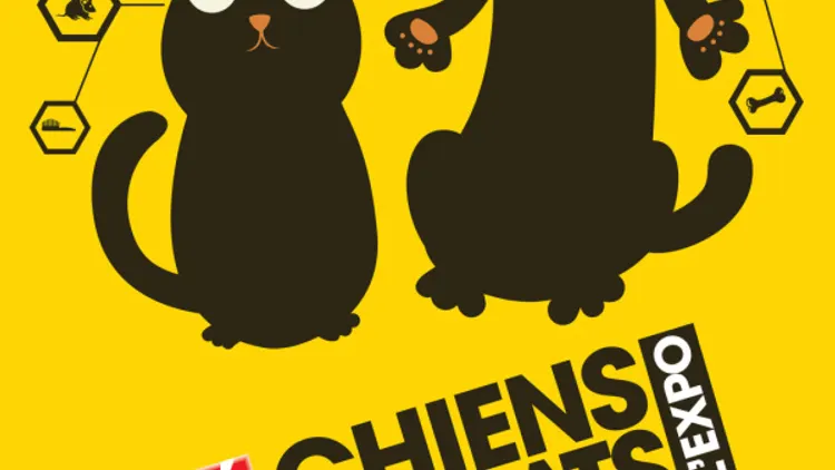 Chiens & Chats L'expo Vous En Ressortirez Moins Bête