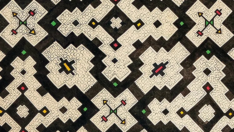 Visions chamaniques - Arts de l'Ayahuasca en Amazonie péruvienne