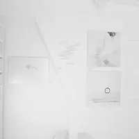 Le White