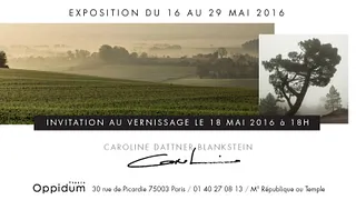 Paysages & Portraits Floraux
