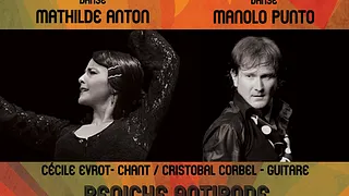 SUNDAY FLAMENCO