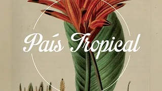 Pais Tropical Pigalle Carnaval